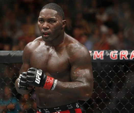 Cựu võ sĩ UFC Anthony Johnson là ai?