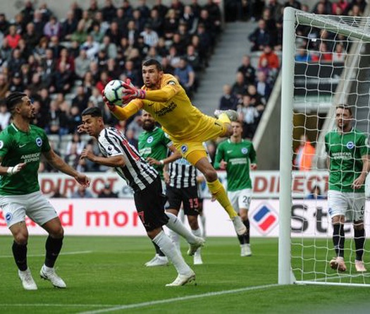 Dự đoán Newcastle vs Brighton 23h30, 21/09 (Vòng 6 NHA)