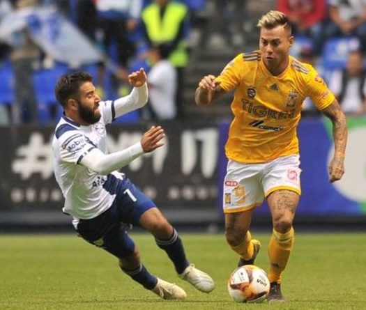 Nhận định Tigres UANL vs Puebla 7h ngày 25/9 (Giải VĐQG Mexico) 