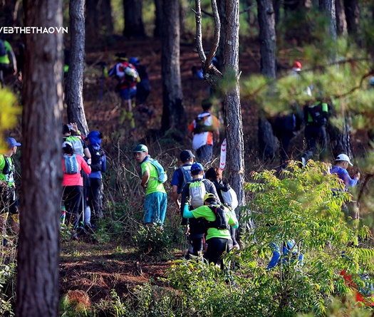 Dalat Ultra Trail 2020 lần đầu có cự ly khủng 100km