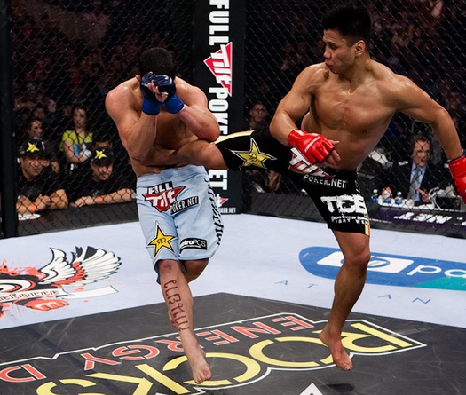 Cung Lê sẽ về ‘dạy võ Việt Nam’ bên lề sự kiện Victory 8 sắp tới