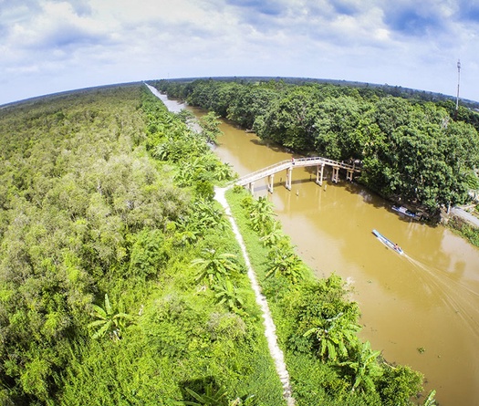 Vẻ đẹp hoang sơ kỳ lạ của khu bảo tồn Lung Ngọc Hoàng ở Hậu Giang