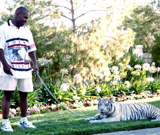 Mike Tyson chia sẻ lý do bán hổ sau 16 năm