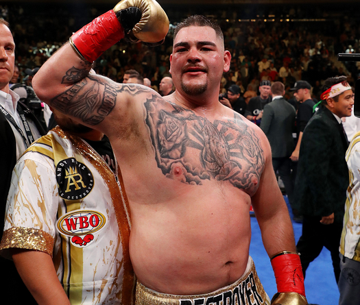 HLV của Andy Ruiz: "Chúng tôi có chiến thuật đấu tốt, nhưng Ruiz quá béo để thực hiện."