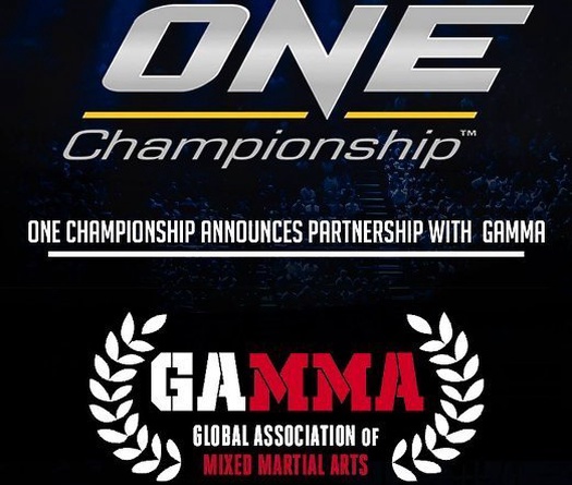 Hiệp hội võ thuật tổng hợp toàn cầu GAMMA ứng cử vào vị trí quan sát viên của Hiệp hội các liên đoàn thể thảo quốc tế GAISF