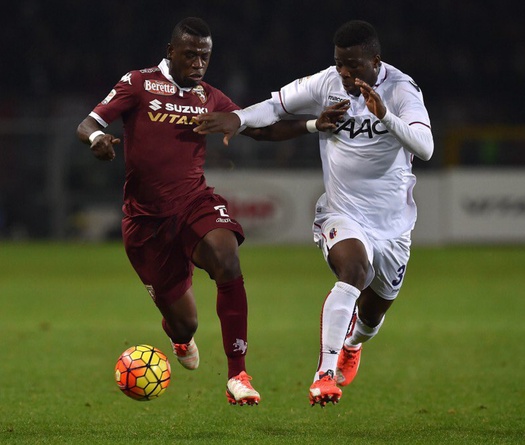 Soi kèo Torino vs Bologna, 21h00 ngày 12/01 (Serie A 2019/2020)