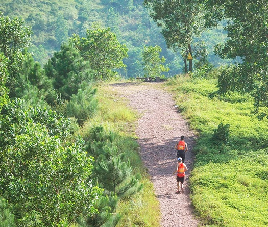 Dịch cúm virus Corona khiến nhiều giải chạy, sự kiện thể thao tại Việt Nam có khả năng “vỡ trận”