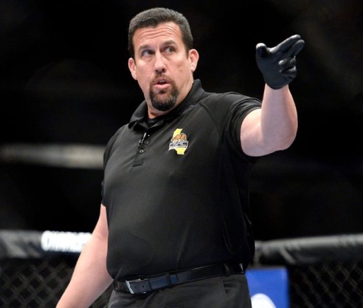 Những điều ít ai biết về nghề trọng tài MMA