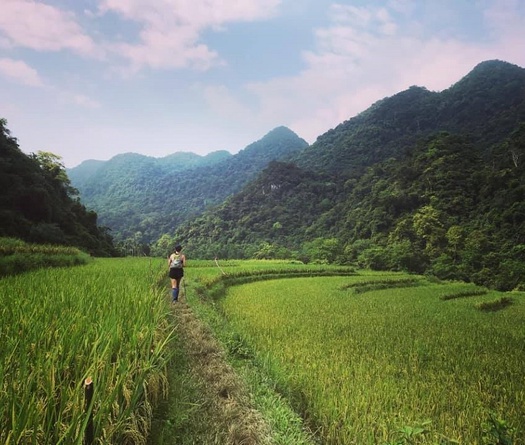 VJM 2020 - giải chạy được mong chờ nhất hoãn sang tháng 10