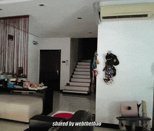 “Dị nhân” phá vỡ mọi kỷ lục chạy marathon trong nhà: 263km trong gần 36 giờ