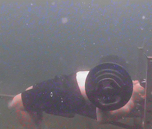 “Vua ao cá” lập kỷ lục thế giới đẩy tạ nằm ghế… dưới nước