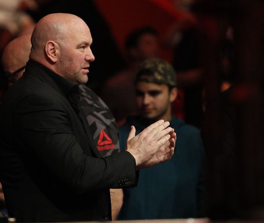 Ủy ban Thể thao Nevada dập tắt hi vọng trở lại Las Vegas sớm của UFC