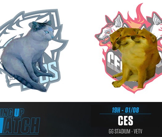 Kết quả VCS Mùa Hè 2020 hôm nay 1/8: EVOS vs CES
