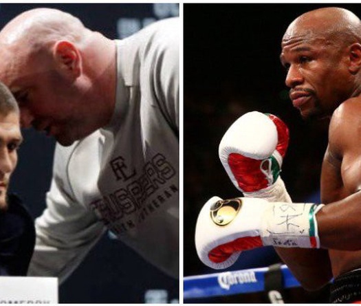 Dana White đã nói chuyện với đội của Floyd Mayweather về trận đấu với Khabib