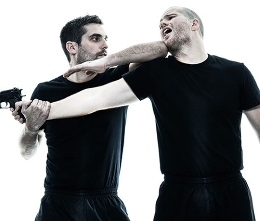 "Tôn sùng võ đài" và "Tôn sùng võ đường phố": Ai đúng ai sai?