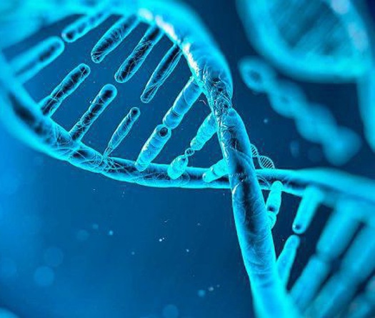 Giải mã gene - Hướng đi mới cho thể thao?