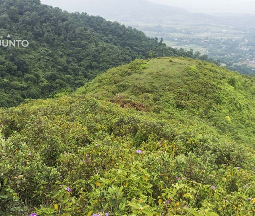 Vẻ đẹp xiêu lòng trên đường chạy Loop Ultra Trail 2018