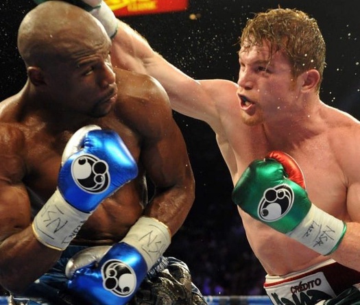 Hãng găng Grant nhà vô địch Mayweather tin dùng có gì đặc biệt?