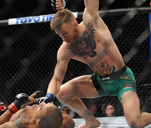 Top 10 pha knock-out "một đấm chết luôn" tại UFC (Phần 1)