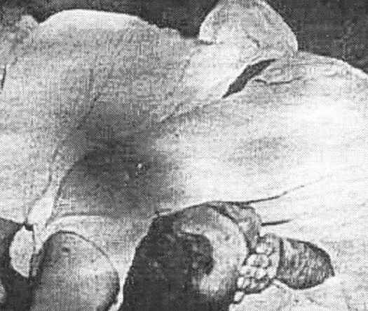 Trận đấu huyền thoại Helio - Kimura  vẫn "hot" sau gần 70 năm