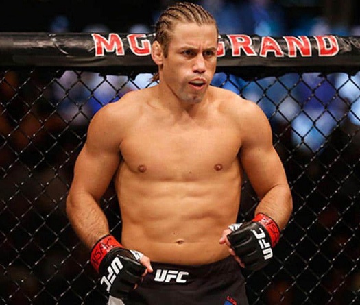 Urijah Faber dự kiến thi đấu trở lại tại UFC