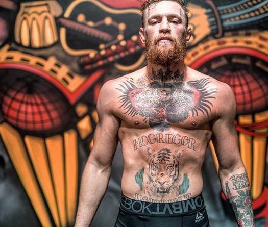 Cận cảnh Conor McGregor luyện công cho trận đấu với Khabib Nurmagomedov 