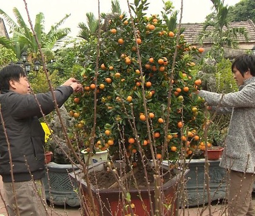Tuấn Anh làm gì trong ngày Tết?