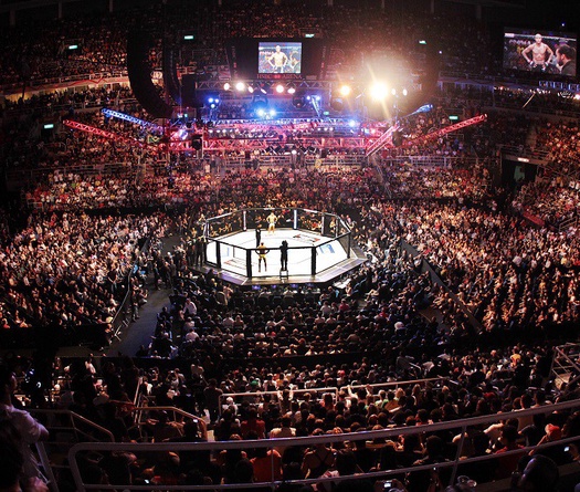 8 trận đấu MMA trong mơ được chờ đợi diễn ra trong năm 2018