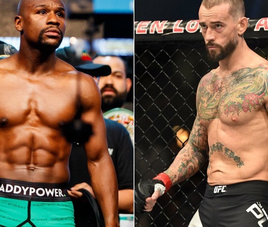 CM Punk v. Mayweather chơi luật MMA: Ngôi sao WWE sẽ "chết chắc"?