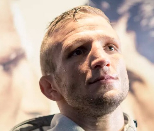 Dillashaw sẽ thi đấu ở hạng cân khác nếu Cruz tiếp tục né tránh?
