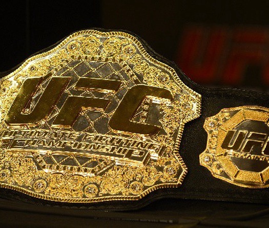 Top 15 Striker mọi thời đại của UFC (Phần 1)