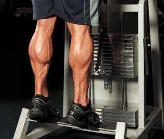 Video: Tập bắp chân cho đàn ông... cò hương (phần 1)