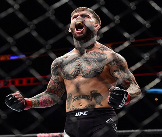 Những kỷ lục được xác lập tại UFC Fight Night 88 