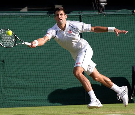 Novak Djokovic 3-0 Marin Cilic