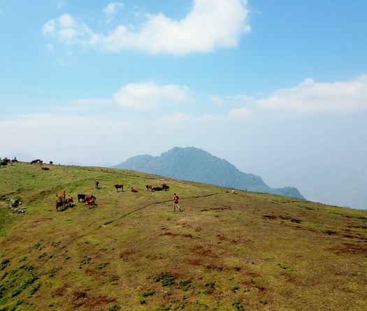 Giải chạy siêu đường mòn Sa Pa thay đổi lớn ở phiên bản kỷ niệm 10 năm