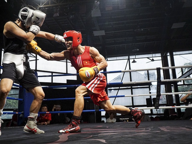Tuyển boxing Việt Nam cọ xát với các võ sĩ đến từ Hàn Quốc và Brazil