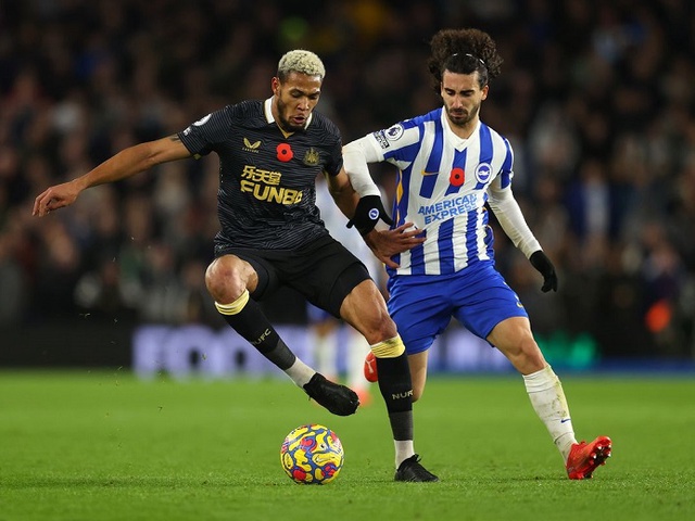 Nhận định Newcastle vs Brighton: “Chích chòe” không hót
