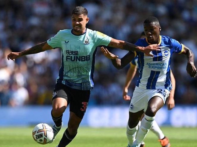 Tỷ lệ kèo trận Newcastle vs Brighton, Ngoại hạng Anh, 1h30 ngày 19/5