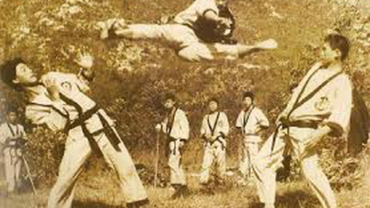 Võ Thuật Taekwondo Hình ảnh PNG  Vector Và Các Tập Tin PSD  Tải Về Miễn  Phí Trên Pngtree