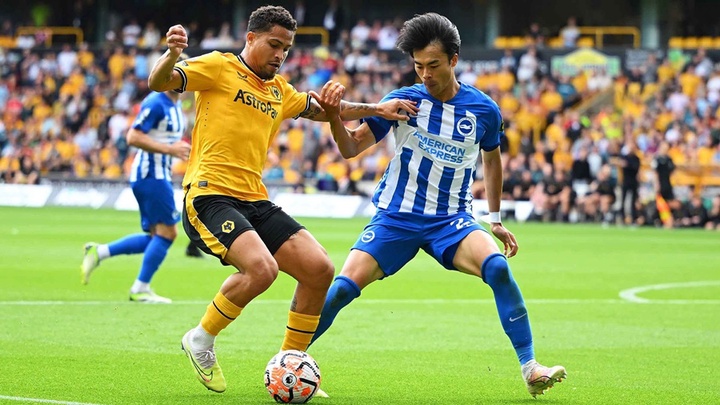 Tỷ lệ kèo trận Wolves vs Brighton, 20h00 ngày 5/10, Ngoại hạng Anh