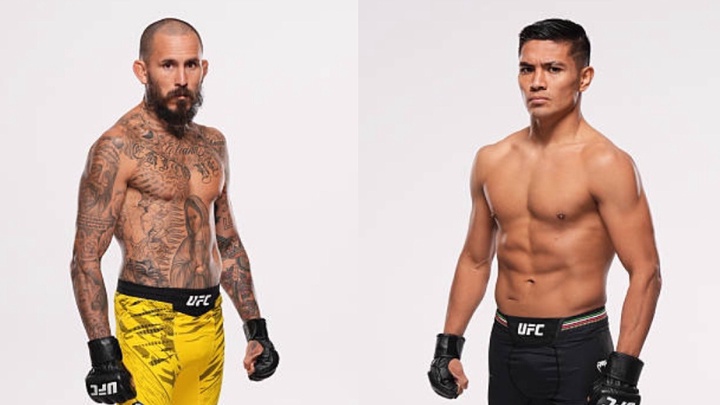 Hạng gà chuyển động: Marlon Vera chạm trán David Martinez tại UFC Mexico