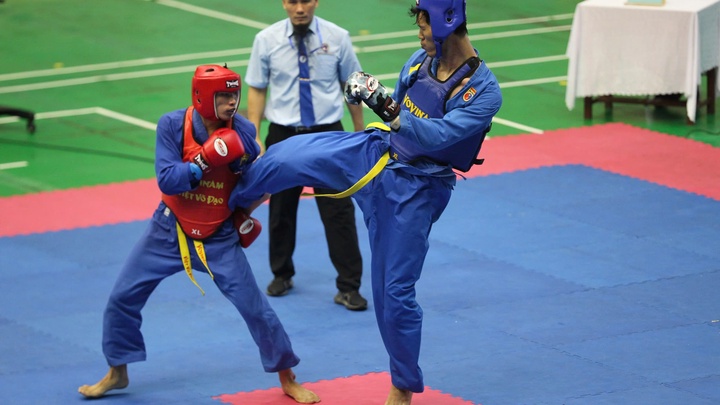 450 võ sĩ tranh tài Giải vô địch Vovinam toàn quốc 2024