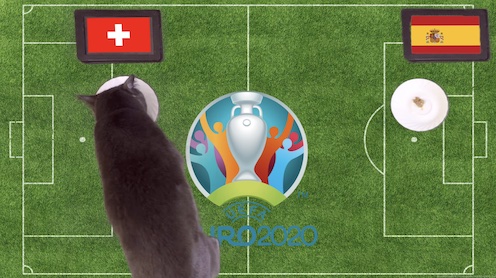 Mèo tiên tri dự đoán kết quả bóng đá Thuỵ Sỹ vs Tây Ban Nha
