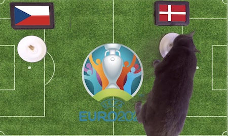 Mèo tiên tri dự đoán kết quả bóng đá CH Séc vs Đan Mạch