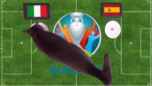 Mèo tiên tri dự đoán kết quả bóng đá Italia vs Tây Ban Nha