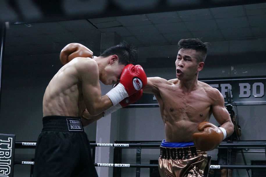 Trần Văn Thảo hội quân ĐTQG, Boxing Việt Nam tổ chức giải đấu tiền SEA Games