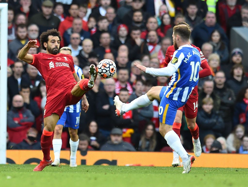 Link xem trực tiếp Brighton vs Liverpool, bóng đá Ngoại hạng Anh