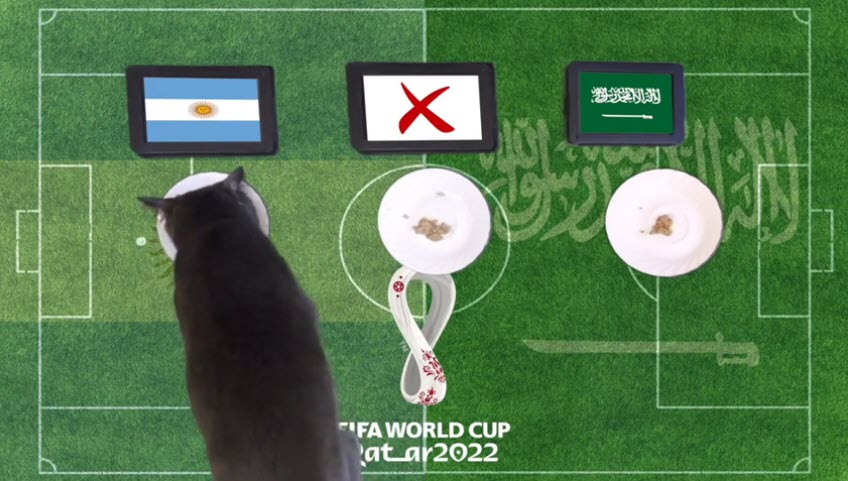 Mèo tiên tri dự đoán Argentina vs Saudi Arabia