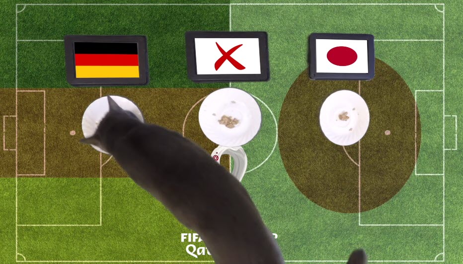 Mèo tiên tri dự đoán Đức vs Nhật Bản