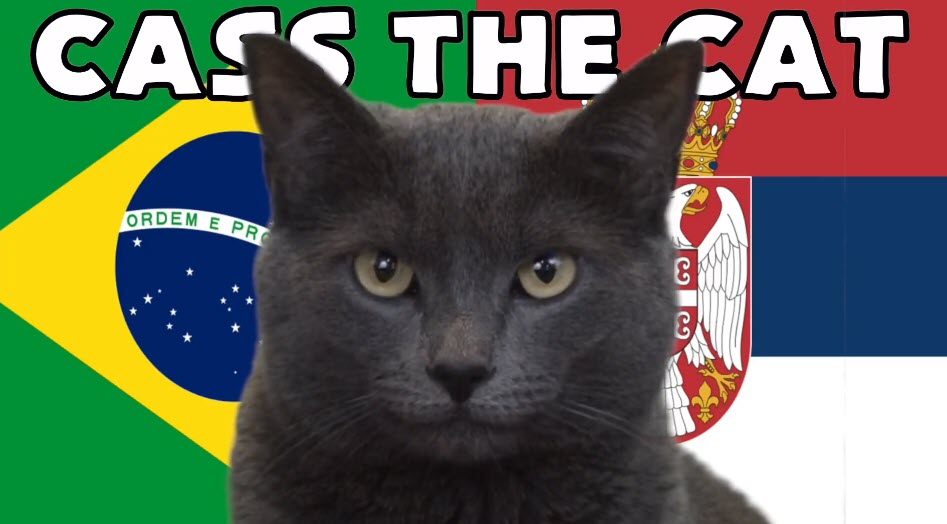 Mèo tiên tri dự đoán Brazil vs Serbia, 2h ngày 25/11